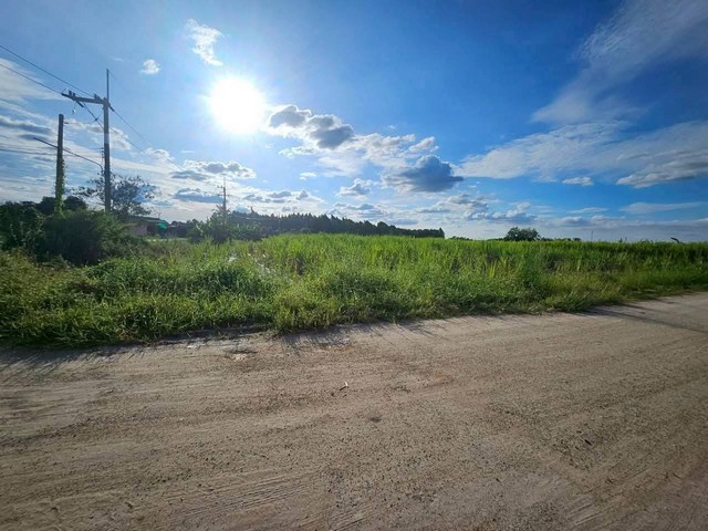 ขายที่ดินสวยพนัสถูกที่สุดในย่านนี้ ขายที่ดิน 47 ไร่ 40 ตารางวา ผังสีเหลือง ต.ทุ่งขวาง อ.พนัสนิคม จ.ชลบุรี