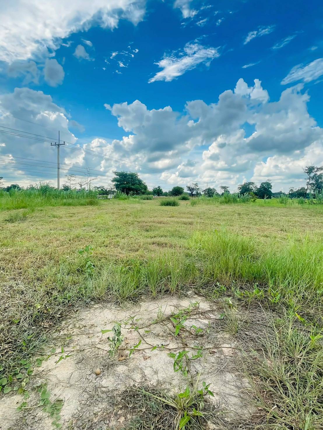ขายที่ดินเปล่า ทำเลทอง ใกล้ตัวอำเภอไพรบึง เพียงไม่ถึง 1 กม. อ.ไพรบึง จ.ศรีสะเกษ