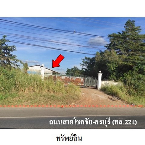 ขายโรงงาน/โกดัง ถนน โชคชัย-ครบุรี (ทล.224) ตำบล ท่าเยี่ยม อำเภอ โชคชัย จังหวัด นครราชสีมา