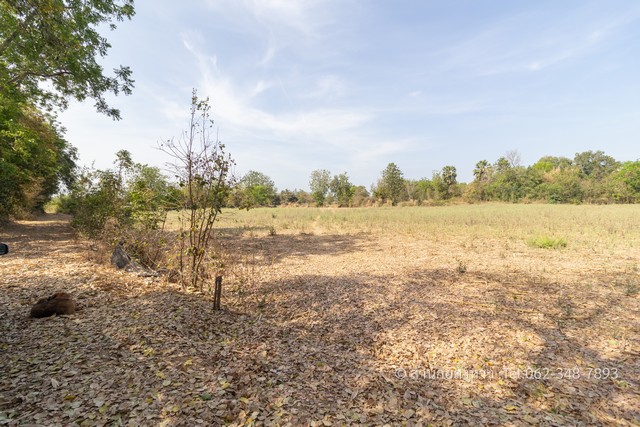 ขายที่ดินขามทะเลสอ 7 ไร่ 111 ตร.ว. ต.โป่งแดง โคราช หน้ากว้าง 110 ม. ระดับเท่าถนน ฟรีโอน