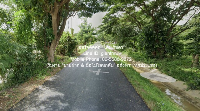 DSL-1365 ขาย ที่ดิน ขายที่ดินทุ่งนา (ผังสีเขียว) 2-1-31 ไร่ อ.บ้านลาด จ.เพชรบุรี ราคา 5.82 ล้านบาท ใกล้กับ สำนักงานเกษตรอำเภอบ้านลาด 2 ไร่