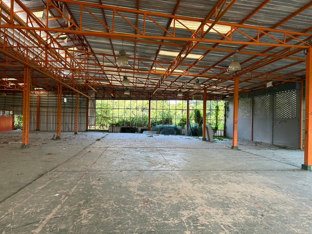 ขายโรงงาน 1 ไร่ 3 งาน 62 ตร.ว หนองหาร สันทราย เชียงใหม่