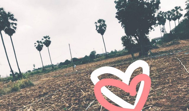 สู่ยุคหาทรัพย์ดีเอื้อเศรฐกิจ  ขายที่สวยติดแม่น้ำน่าน ชุมแสง  จ.นครสวรรค์ 300000 บาท.วิวแม่น้ำเกษตรดีงามสวยสมบูรณ์