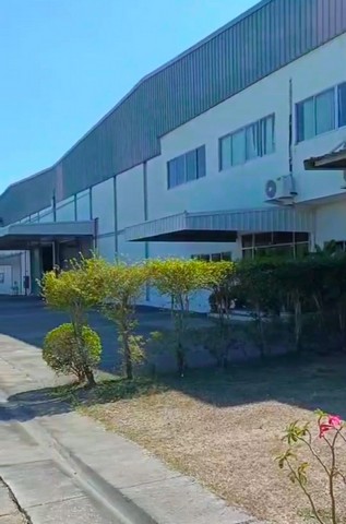 ขายโรงงานบ้านบึงชลบุรี ขายที่ดินพร้อมสิ่งปลูกสร้างบ้านบึงชลบุรี ผังม่วงลาย บนพื้นที่  24  ไร่ ขนาดพื้นที่รวม 10000 ตรม.