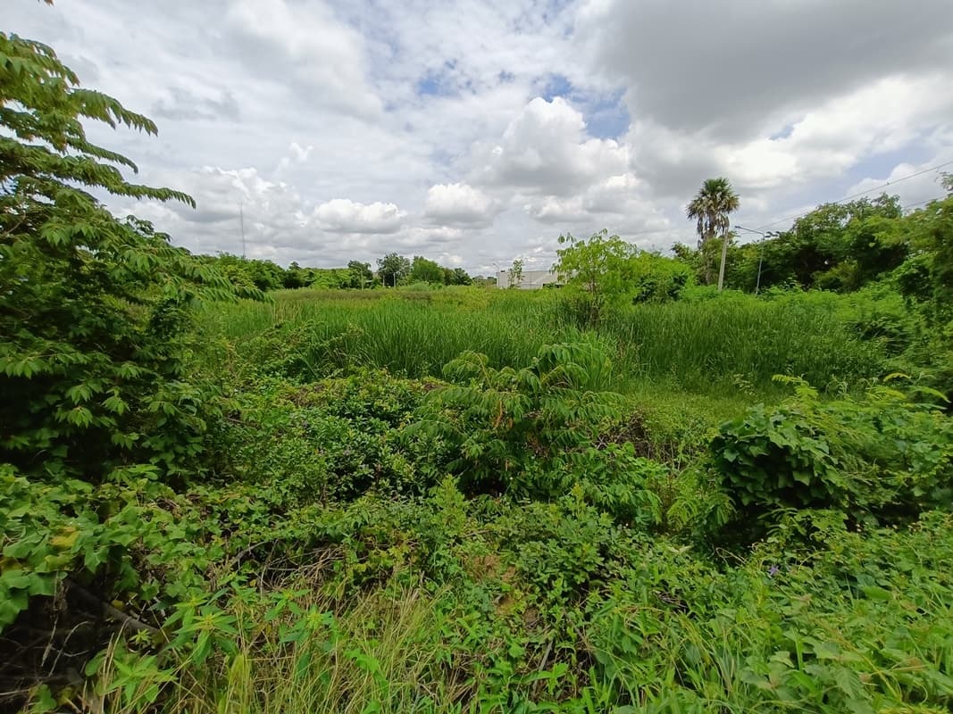 ที่ดินสุพรรณ ทำเลใจกลางเมืองหน้าแปลงติดถนนแ