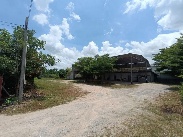 ขายที่ดินพร้อมสิ่งปลูกสร้าง บางละมุง ตะเคียนเตี้ย เหมาะทำอู่รถ/โกดัง TP-L1958