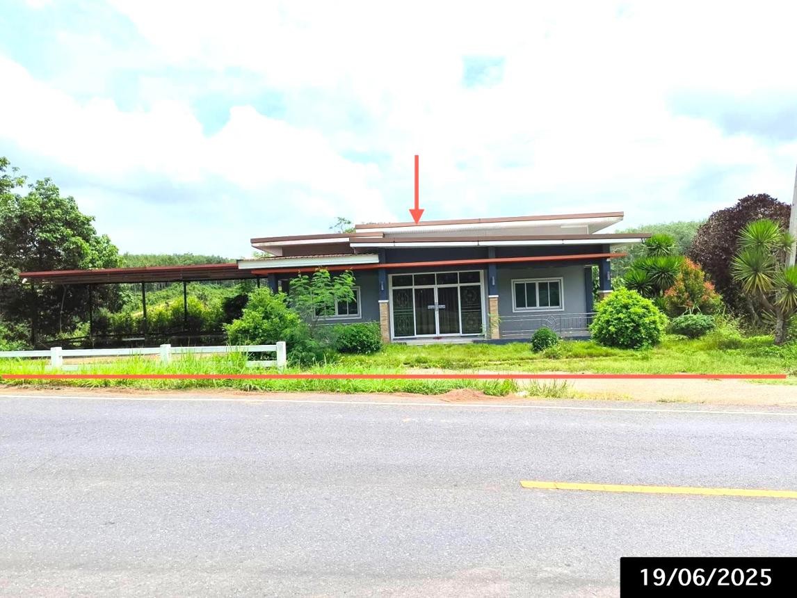 ขาย บ้านเดี่ยว สุราษฎร์ธานี อำเภอ วิภาวดี จังหวัด สุราษฎร์ธานี