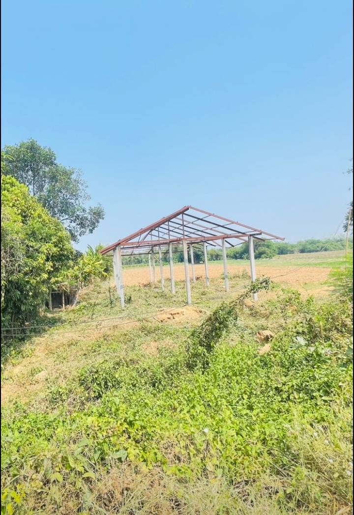 ขายที่ดินพร้อมสิ่งปลูกสร้าง ทำเลดี เหมาะลงทุน อำเภอหล่มสัก จังหวัดเพชรบูรณ์