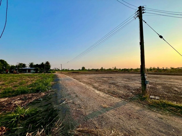 พื้นที่ดิน - 0 ตร.ว. 0 Ngan 1 ไร่  279000 B. ทำเลทอง ถมแล้ว ถูกมาก น้ำไม่ท่วง น้ำไฟหน้าแปลง