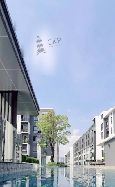 ขายด่วน คอนโด น็อตติ้ง ฮิลล์ สุขุมวิท 105 ใกล้BTSแบริ่ง แถมเฟอร์และเครื่องใช้ไฟฟ้า เข้าออกได้หลายทาง