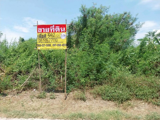 ขายที่ดิน 342 ตารางวา  ซอยหนองปิงร่วมใจ7 เมืองนครสวรรค์   ใกล้สถานีรถไฟหนองปลิง  ZK617