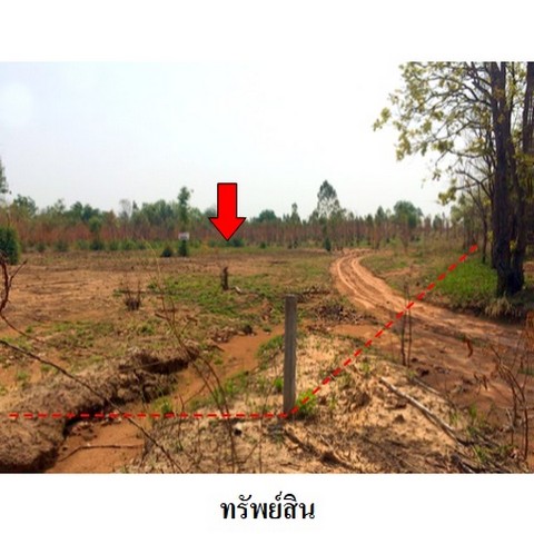 ขายที่ดินว่างเปล่า ถนน สายชัยภูมิ-หนองบัวแดง (ทล.2159) ตำบล นาฝาย อำเภอ เมืองชัยภูมิ จังหวัด ชัยภูมิ