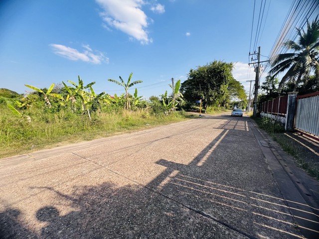 ขายที่ดินสวย 7 ไร่ กว่าใกล้ตลาดโพธิ์ชัย วัดโพธิ์ชัย กลางเมืองหนองคาย