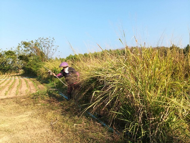 บอกขายที่ดินทำเลดีราคาคุยได้  ที่ติดแม่น้ำโขง ต.กุดบง อ.โพนพิสัย จ.หนองคาย  หลังติดแม่น้ำโขง ไร่ละ 2ล้านบาท โทร 096-882-1857