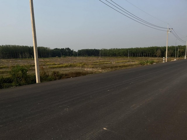 ขายที่ดินใกล้ริมแม่น้ำโขง อำเภอบึงกาฬ จังหวัดบึงกาฬ เนื้อที่ 17 ไร่ 60 ตารางวา(โฉนดครุฑแดง)