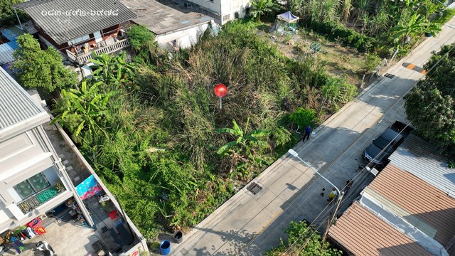 ขายที่ดิน 100 ตารางวา ซอยรังสิต-นครนายก57 ธัญบุรี ปทุมธานี ใกล้โรงพยาบาลบางปะกอก-รังสิต2 ไฟฟ้า ประปา สาธารณูปโภคครบ รูปแปลงสี่เหลี่ยมสวยงาม