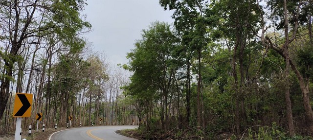 พื้นที่ดิน ที่ดิน จ.น่าน area 97 sq.wa 0 NGAN 20 ไร่  101211250 BAHT เดินทางง่าย ที่ดินเป็นโฉนดครุฑแดง ที่อยู่ท่ามกลางธรรมชาติ ป่าเขา ต้นไม้ และแม่น้ำ และเหมาะนำไปพัฒนาโครงการเป็นรีสอร์ต หรือบ้านพักตากอากาศ หรือโรงแรม ฯลฯ.