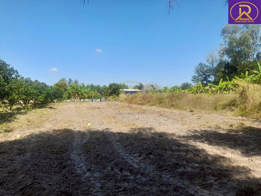 ขายที่ดินเปล่า ราคาหลักแสน แปลงสวย ทำเลดี เหมาะสร้างบ้าน  1 งาน 99.4 ตารางวา ต.นาวังหิน อ.พนัสนิคม จ.ชลบุรี