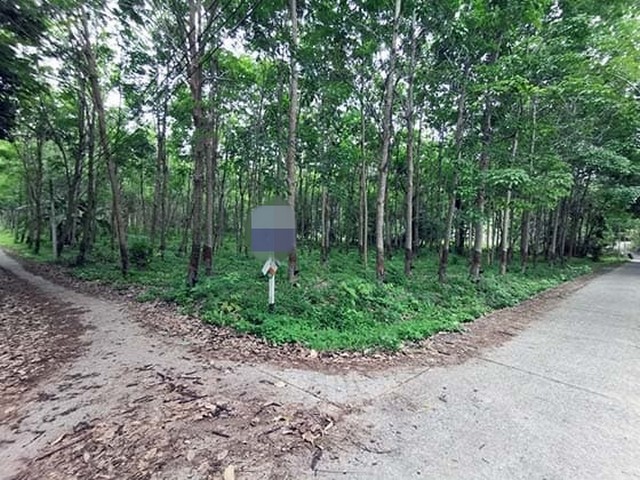 ขายที่ดินว่างเปล่า  ถนนสายเกาะปอ  อำเภอเกาะลันตา กระบี่