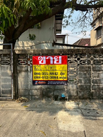 ขายบ้านเดี่ยว 42 ตารางวา  ซอยลาดพร้าว 63 แยก8  ใกล้รถไฟฟ้าสายสีเหลืองสถานีโชคชัย4 และลาดพร้าว71    ZT889