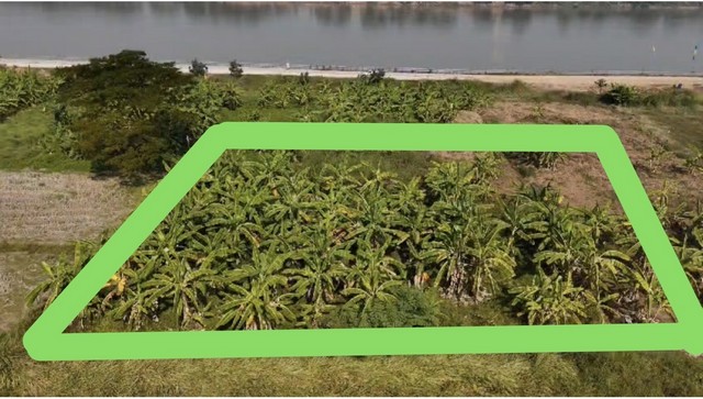 ขายที่ดินติดแม่น้ำโขงหน้ากว้างสวย ในเมืองหนองคาย