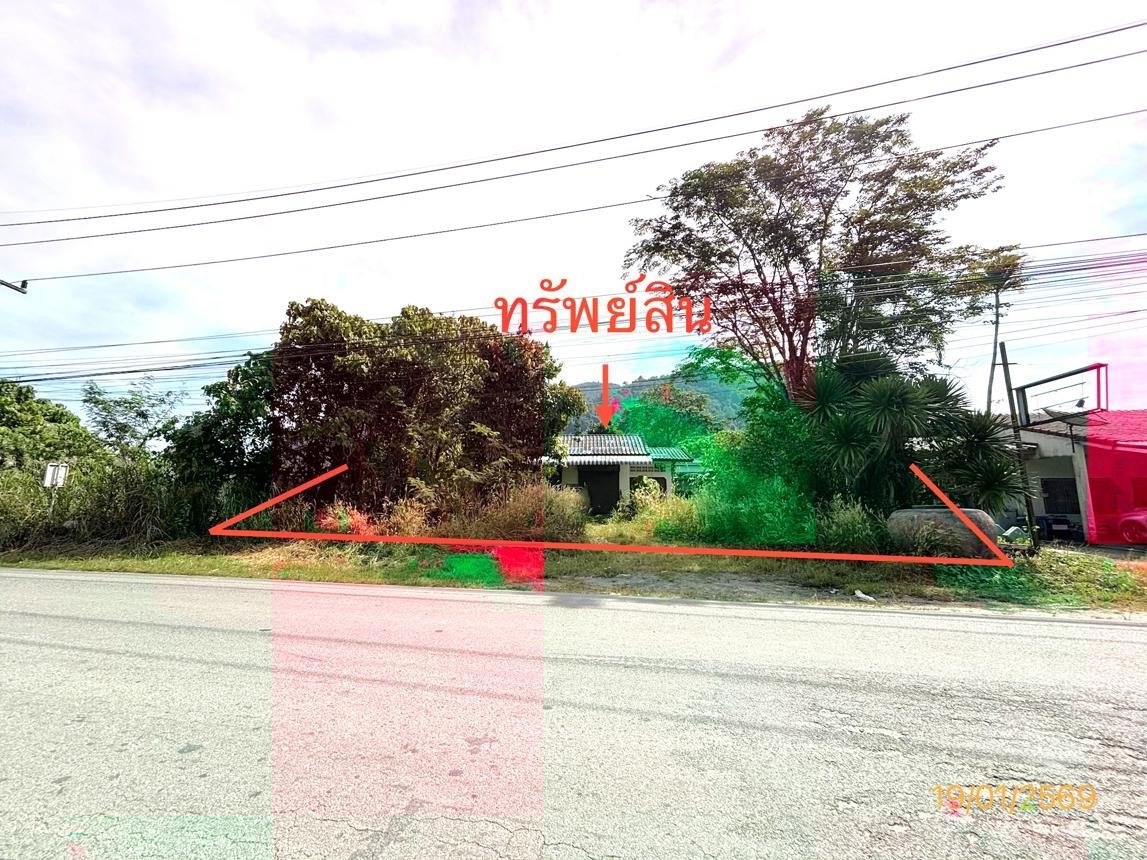 ขาย  บ้านเดี่ยว สุราษฎร์ธานี อำเภอ กาญจนดิษฐ์ จังหวัด สุราษฎร์ธานี