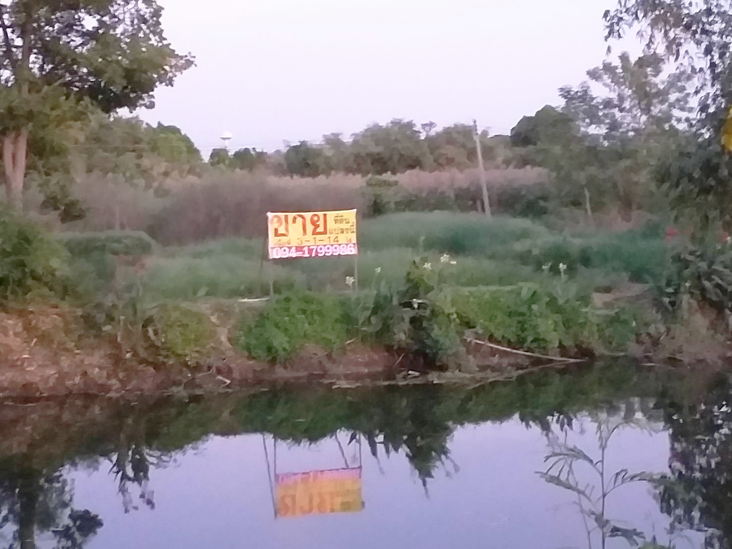 ขายที่ดินเปล่า 3-1-14 ไร่ ทำเลสวย ใกล้ บ.เวิร์คพอยท์ ม.ธรรมศาสตร์ อ.เมือง จ.ปทุมธานี