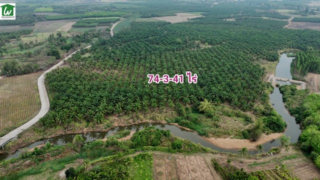 ขายที่ดินติดน้ำ อำเภอบ่อทอง ชลบุรี ขายที่ดินพร้อมสวนปาล์ม บ่อทอง ชลบุรี 74-3-41 ไร่ มีน้ำใช้เพื่อการเกษตรตลอดปี ราคาไร่ละ 790000บาท