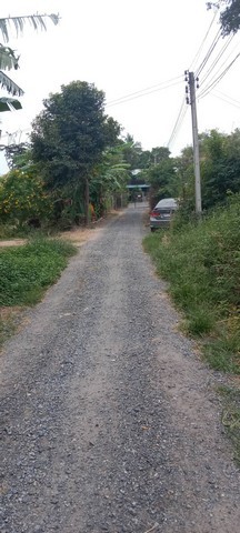 คุยง่ายขายคล่องให้ทางเลือก ขายบ้านไม้ จ.สิงห์บุรี  วิถีไทย  ต.โพทะเล วิถีไทย 262 วา ต.โพทะเล อ.ค่ายบางระจัน สิงห์บุรี 500000บาท