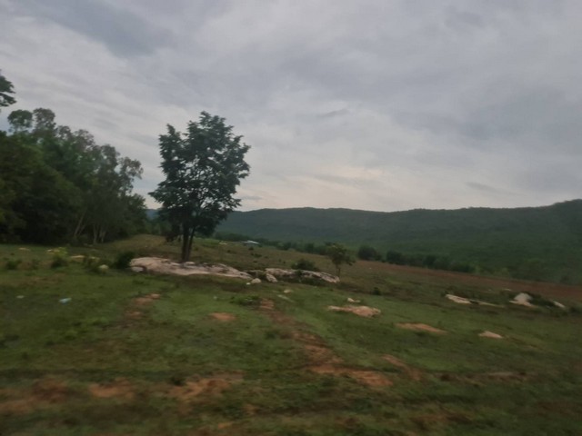 เดือนความรักหาทรัพย์สวยสักแปลง ขายที่ดินสวยติดภูเขา เทือกเขายาวเรียงแนว ดินดีสมบูรณ์ทรัพย์ในดิน ฟ้าใสวิวหลักล้าน ต.นาจาน อ.สีชมพู จ.ขอนแก่น