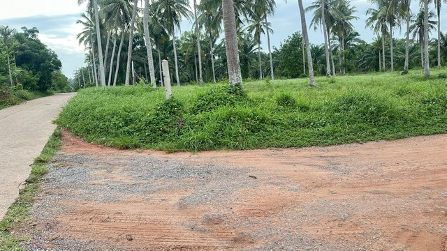 โปรปังทรัพย์ดีปลายปี68 ขายที่ดินใกล้หาดบางเบิด ติดถนนทางหลวง ใกล้หาด1 กม. +ขนาดที่ดิน 50-1-18 ไร่ โฉนดครุฑแดง พร้อมโอน ไร่ล่ะ 8 แสน