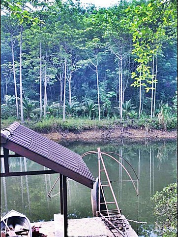 ที่ดิน สวนยาง-ไม้กฤษณา วิวเขา จันทบุรี 29000000 -  พื้นที่ 44 RAI 0 Ngan 82 ตาราง-วา   หรูอยู่สบาย