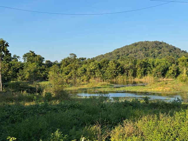 ที่ดิน ติดภูเขา โพธาราม จังหวัด ราชบุรี ทิศใต้ : หน้าหัน 180