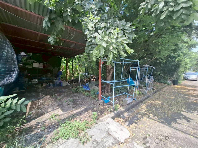 ที่ดินเปล่าทำเลดี รังสิต-นครนายก ใกล้ฟิวเจอร์รังสิตและดรีมเวิลด์ ขนาด 148 ตร.วา เหมาะสร้างบ้านหรือเก็บลงทุนในอนาคต | รหัส 93352