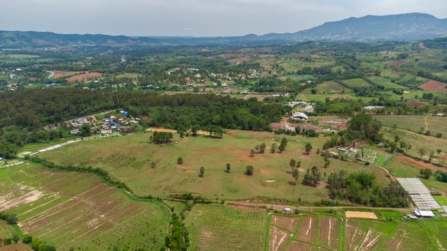 ขายที่ดินเขาค้อ นะโมแลนด์ Phase 3-3 เริ่ม 1055 ตร.ว. ทำเลทุ่งสมอ บรรยากาศภูเขาและพื้นที่สีเขียว ราคา 11250 บาท-ตร.ว.