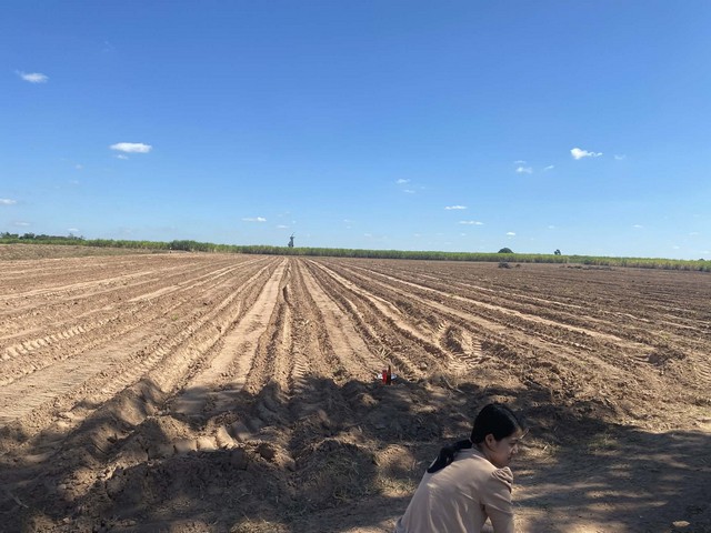 ขายที่ดิน ตำบลกุดน้ำใส อำเภอจัตุรัส จังหวัดชัยภูมิ เนื้อที่ 9 ไร่ 3 งาน 41 ตารางวา