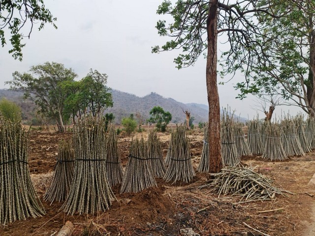 คุยง่ายขายคล่องให้ทางเลือก ที่ดินติดภูเขา ต.พระนอน อ.เมือง จ.นครสวรรค์ วิวสวยมากๆๆ 5ไร่เศษ โทร 096-882-1857