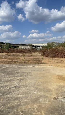 ขายและให้เช่าที่ดินพร้อมใบอนุญาต​105 และ 106 ที่ดินพนัสชลบุรี พื้นที่ Free Zone ​ค่าเช่าที่ดินไร่ละ​ ​15000 บาท​ /เดือน