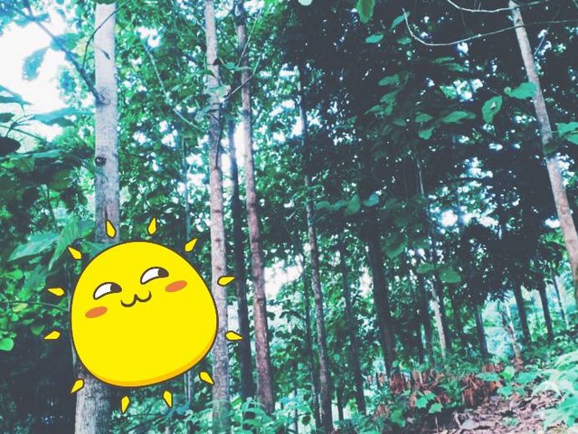 จากใจคนขายถึงใจผู้ซื้อ ขายที่ดินติดลำธารน้ำใสไหลริน ชุ่มฉ่ำตลอดปี สวยวิวล้าน 800000บาท 3-0-35ไร่ อำเภอสันติสุข น่าน