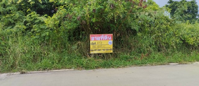 ขายด่วน ที่ดินแปลงใหญ่ 61 ไร่ ทำเลทอง ย่านประชาอุทิศ 76 คลองสวน เดินทางเข้า-ออกสะดวก  เหมาะทำโครงการจัดสรรหมู่บ้านจัดสรร   ZTK281