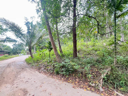 For Sale / For Rent – Prime Land at Lipa Noi Koh Samui
