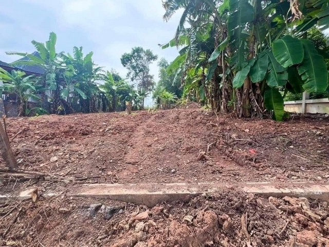 ที่ดิน ตรงข้าม Sunflower Residence  มีเพื่อนบ้าน ใกล้  ร้านอาหารริมทะเล เซเว่นหน้าปากซอย เหมาะทำบ้านพักตากอากาศ หรือ ลงทุน ซื้อเก็บ ฯ