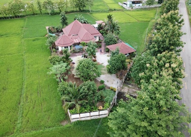 ขายบ้านพร้อมที่ดิน1ไร่1งาน77ตรว ต.บ้านสาง อ.เมือง จ.พะเยา