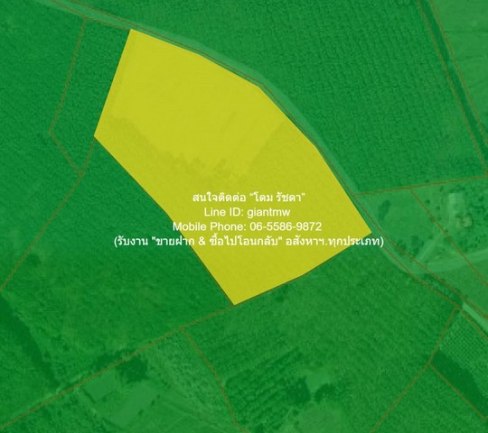 DSL-1327 ต้องการขาย พื้นที่ดิน ขายที่ดินทางการเกษตรแปลงใหญ่ อ.ภูเรือ จ.เลย 18-2-64 ไร่ ราคา 5.59 ล้านบาท  ขนาด = 26 SQ.WA 2 Ngan 18 RAI 5590000 บาท   เข้าออกได้หลายทาง