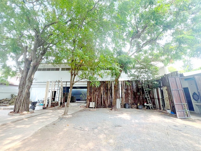 ซ.สุขุมวิท 47-51  อาคาร 2 ชั้น 1ไร่ 35 ตร.วา.ทองหล่อ 21-25MRT รฟม.1.6 กม.เช่า-ขายที่ดินพร้อม ตลาดเอกมัย 1กม. 1725ตร.ม.วิวสวน 5 นอน 5 น้ำ