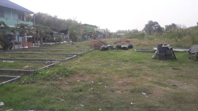 ขายที่ดิน  2-2-0 ไร่  ถนนศาลเจ้าสมบุญ  ใกล้เทศบาลหลักหก อ.เมือง  จ.ปทุมธานี