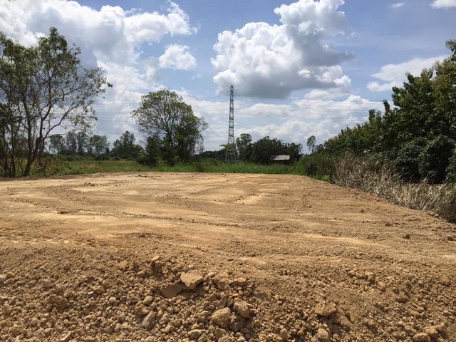 ขายที่ดิน 502ตรว. 2.96ลบ. ฟรีโอน ถม ล้อมรั้ว ถนนลาดยาง ไฟฟ้า น้ำประปา ใกล้ถนนวงแหวน4 เขตติดต่อ อ.สารภี-ต.อุโมงค์ เมืองลำพูน