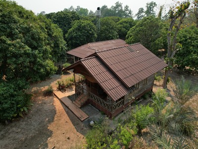 ขายที่ดินพร้อมสิ่งปลูกสร้าง สันทราย ออร์เชิร์ด 3 ไร่ 45 ตร.วา หลังมหาวิทยาลัยแม่โจ้ สนามบินเชียงใหม่เพียง 30 นาที