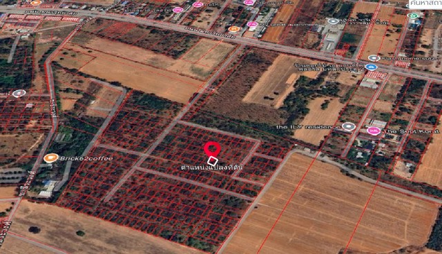 ขายที่ดินแปลงสวย ใกล้เมืองโคราช ราคาดี เนื้อที่ 50 ตร.ว ราคาเพียง 2 แสนบาท