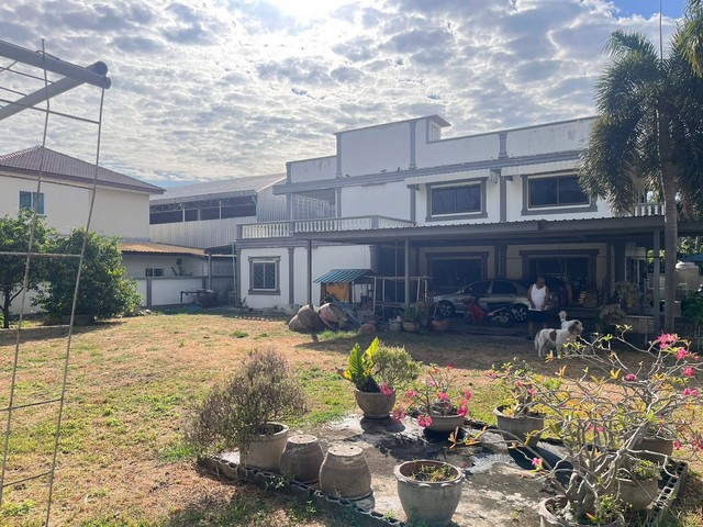 ขายบ้านพร้อมที่ดิน ใจกลางเมืองลพบุรี เนื้อที่ขนาด 2 งาน